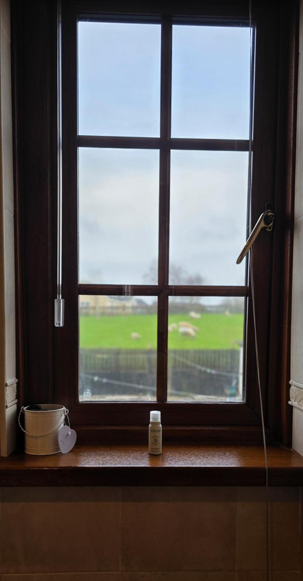 Drumhirk House Newtownards Luaran gambar